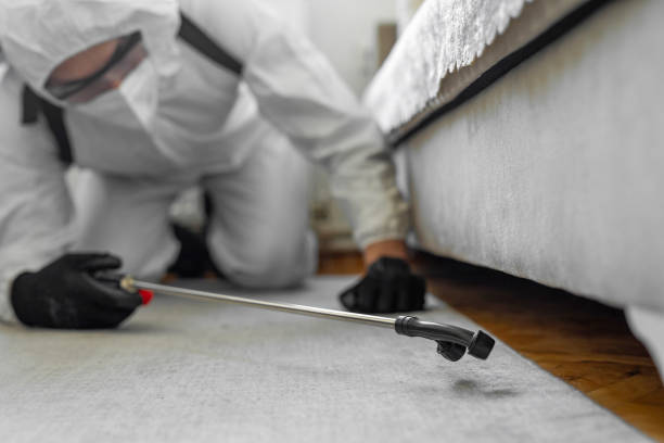 Professional Termite Control technician working in Auburn, AL