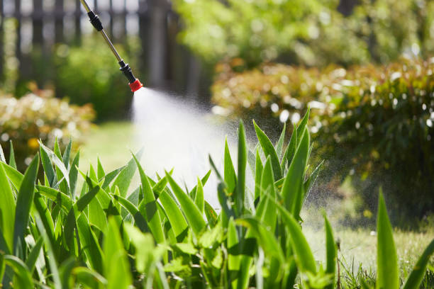 24/7 Emergency Termite Control experts in Auburn, AL